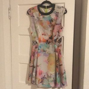 Ted Baker Watercolor Dress